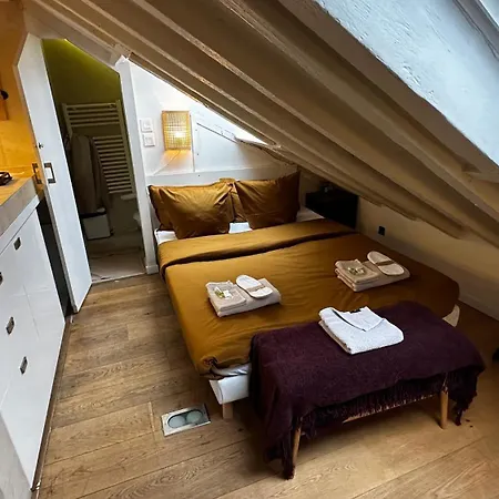 Marais Rooftop Studio - Metro Filles Du Calvaire Appartement *