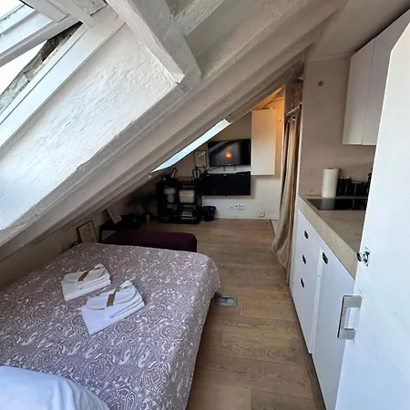 Marais Rooftop Studio - Metro Filles Du Calvaire Apartamento