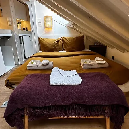 Marais Rooftop Studio - Metro Filles Du Calvaire Apartamento Paris