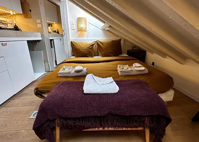 Marais Rooftop Studio - Metro Filles Du Calvaire Apartamento Paris